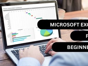 MIcrosoft Excel for Beginners.jpg
